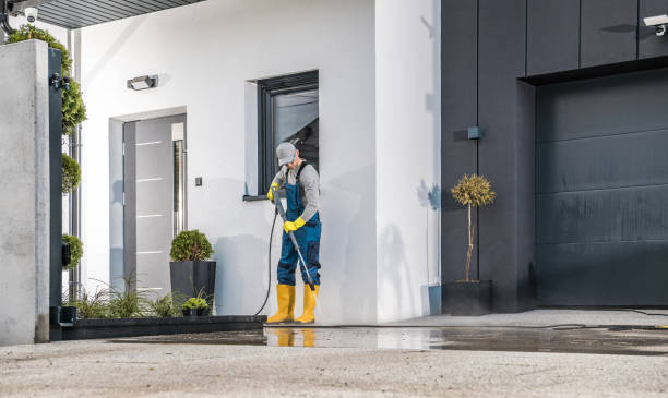 Best Roof Cleaning and Mildew Removal in Springfield, IL
